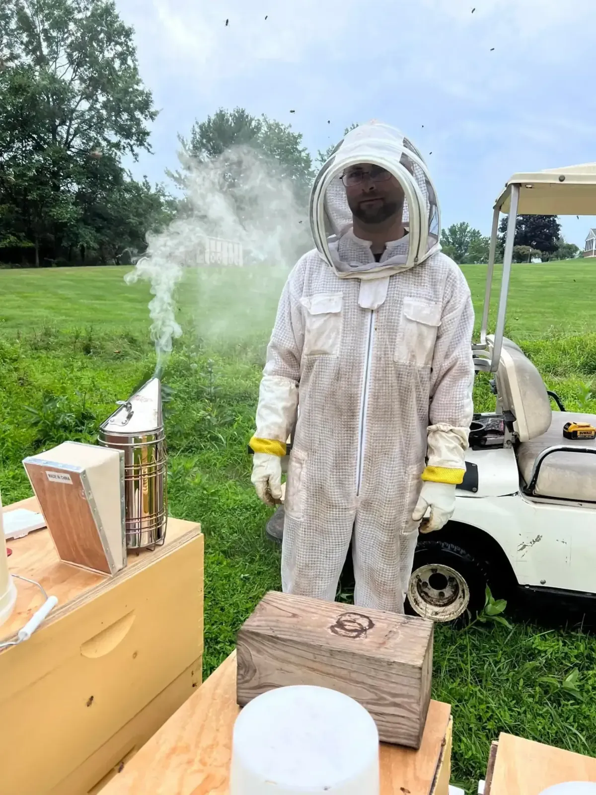 Bumblebee Removal in Phoenixville