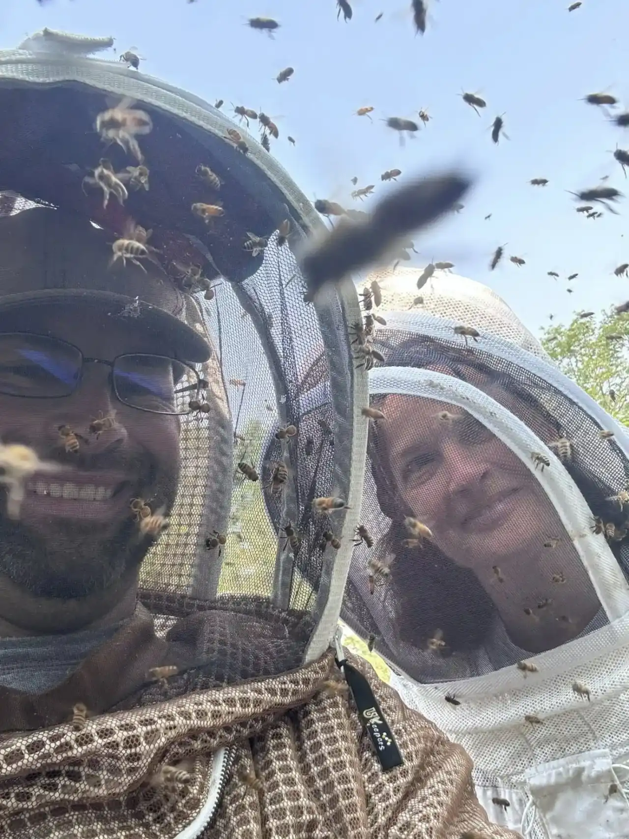 Honeybee Rescue Company certified work
