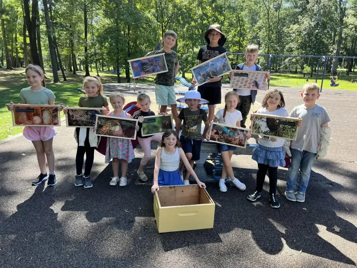 Bee Relocation Service in Lansdale