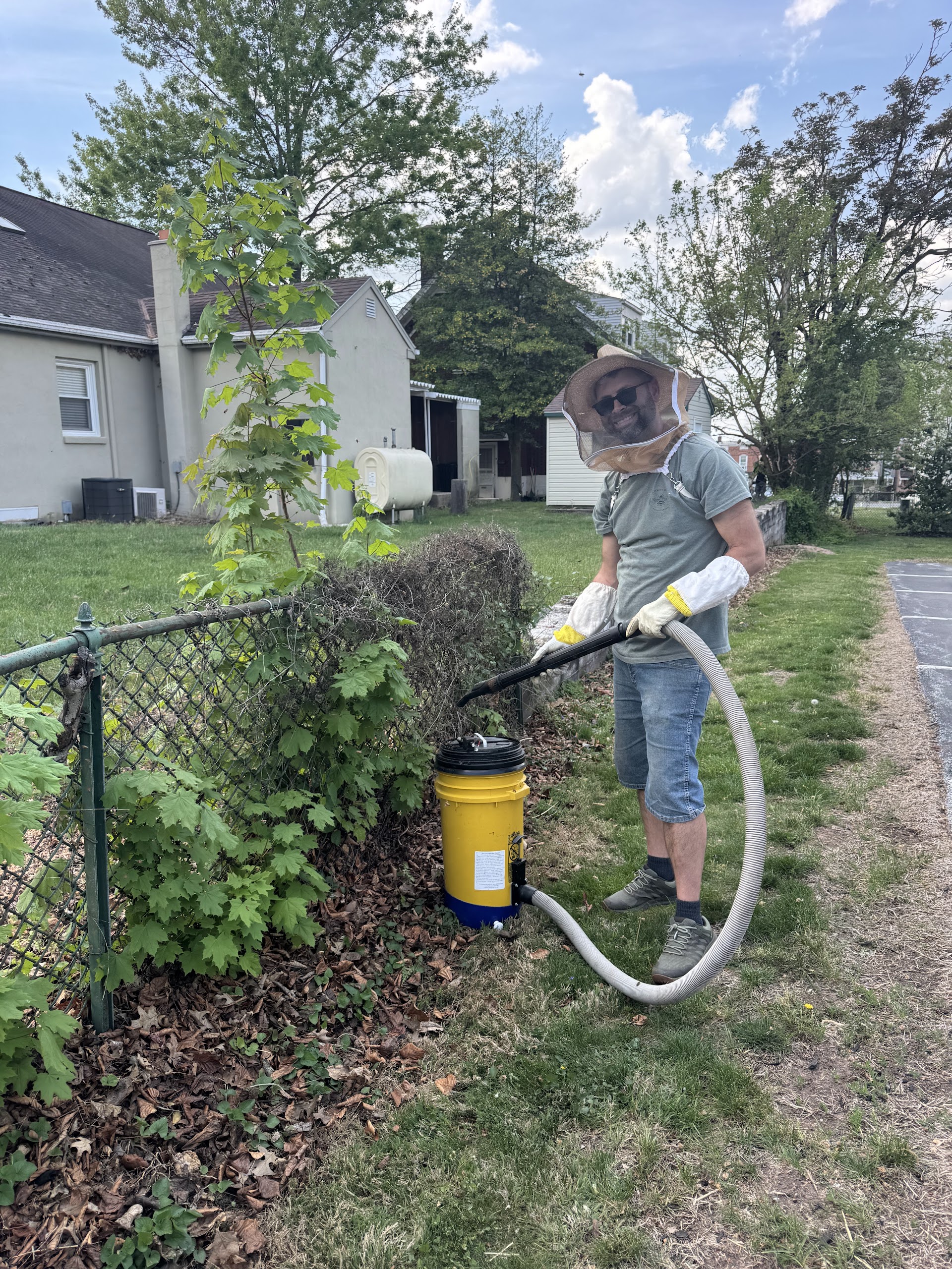 Bee Relocation Service in Reading